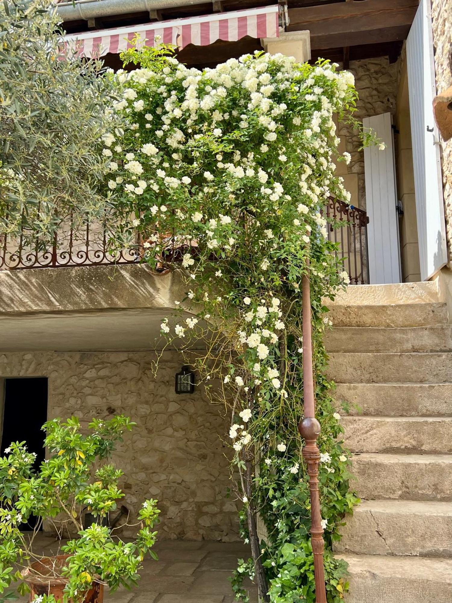 La Maison Des Autres, Piscine Chauffee, Chambres D'Hotes Proches Uzes, Nimes, Pont Du Gard Saint-Genies-de-Malgoires Exterior photo